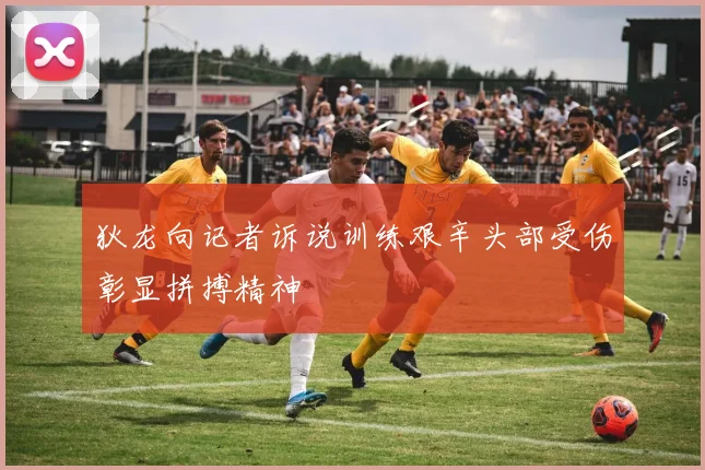 狄龙向记者诉说训练艰辛头部受伤彰显拼搏精神