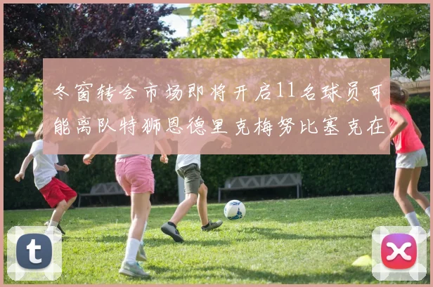 冬窗转会市场即将开启11名球员可能离队特狮恩德里克梅努比塞克在列